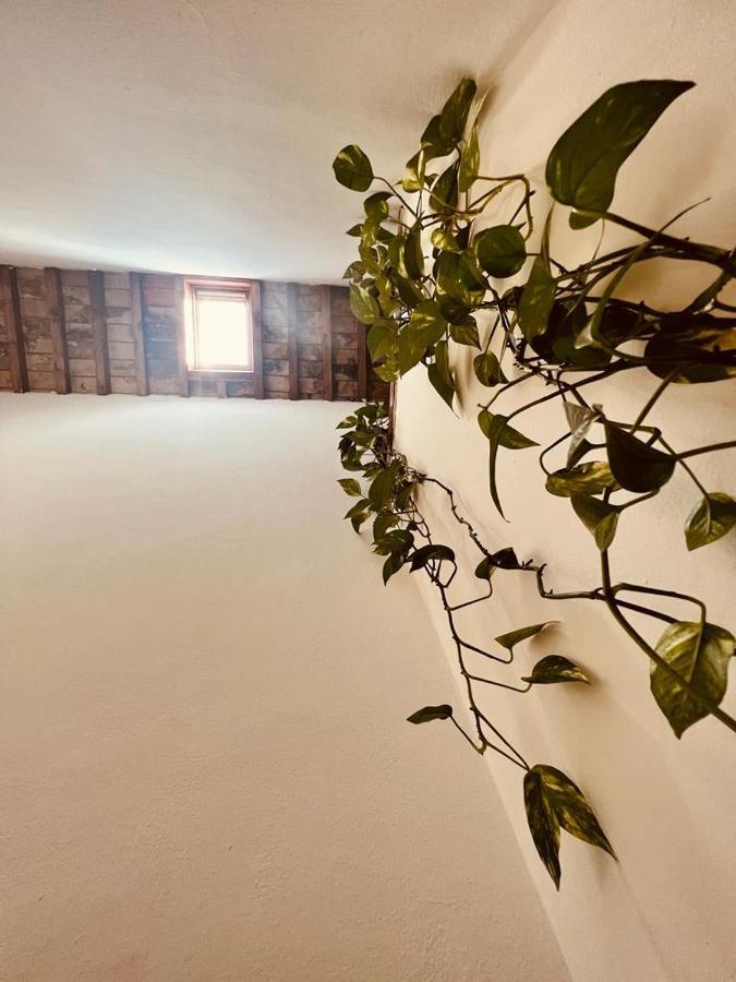 Albergo Dal Fata Гамбасси-Терме Экстерьер фото